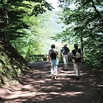 Am Moselufer Daire Zell an der Mosel