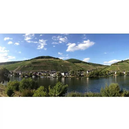 Lejlighed Am Moselufer