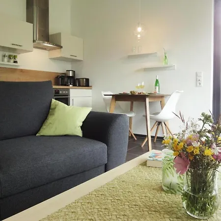 Apartment Am Moselufer
