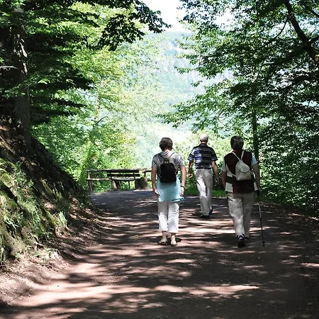 Am Moselufer 公寓 摩泽尔河畔的泽尔