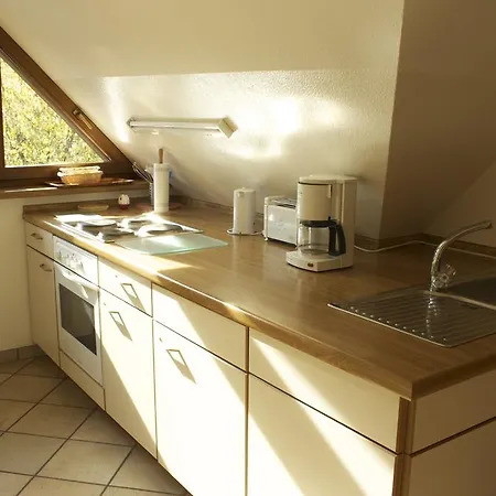 Am Moselufer * 摩泽尔河畔的泽尔